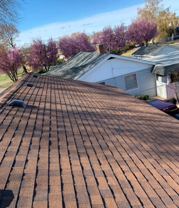 Roof Replacement Services